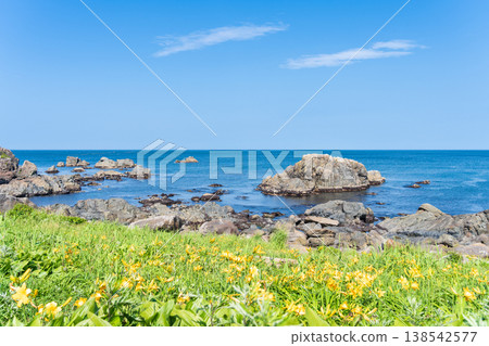 "Aomori Prefecture" Flowers bloom on the shore in early summer at Tanesashi Coast, Hachinohe City 138542577