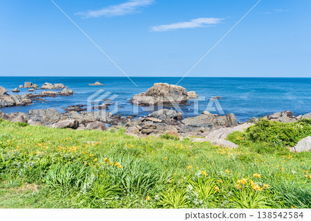 "Aomori Prefecture" Flowers bloom on the shore in early summer at Tanesashi Coast, Hachinohe City "Aomori Prefecture" Flowers bloom on the shore in early summer at Tanesashi Coast, Hachinohe City 138542584