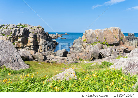 青森縣八戶市種差海岸初夏鮮花盛開 138542594