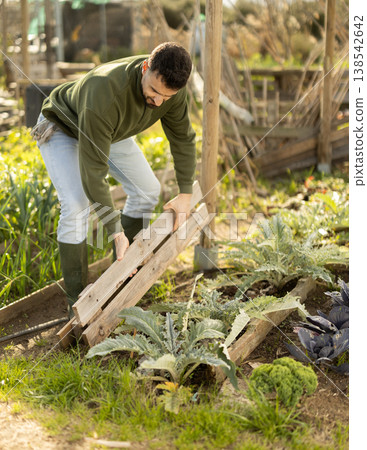 Male farmer makes fence for garden beds Male farmer makes fence for garden beds 138542642