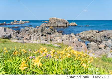 "Aomori Prefecture" Flowers bloom on the shore in early summer at Tanesashi Coast, Hachinohe City "Aomori Prefecture" Flowers bloom on the shore in early summer at Tanesashi Coast, Hachinohe City 138542695