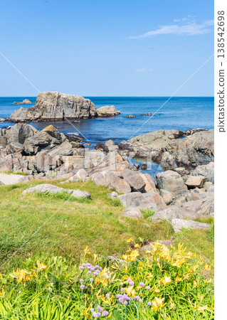 "Aomori Prefecture" Flowers bloom on the shore in early summer at Tanesashi Coast, Hachinohe City "Aomori Prefecture" Flowers bloom on the shore in early summer at Tanesashi Coast, Hachinohe City 138542698