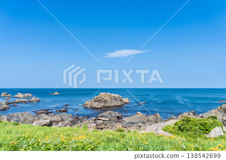 "Aomori Prefecture" Flowers bloom on the shore in early summer at Tanesashi Coast, Hachinohe City "Aomori Prefecture" Flowers bloom on the shore in early summer at Tanesashi Coast, Hachinohe City 138542699