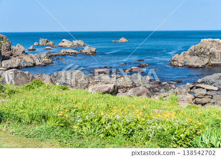 "Aomori Prefecture" Flowers bloom on the shore in early summer at Tanesashi Coast, Hachinohe City "Aomori Prefecture" Flowers bloom on the shore in early summer at Tanesashi Coast, Hachinohe City 138542702