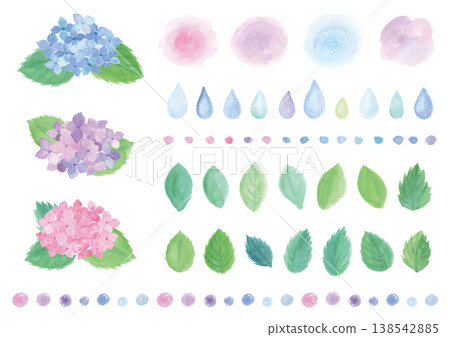 A set of colorful hydrangeas, leaves, and decorative lines. A set of colorful hydrangeas, leaves, and decorative lines. 138542885