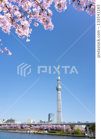 Spring Tokyo Sky Tree Spring Tokyo Sky Tree 138543165