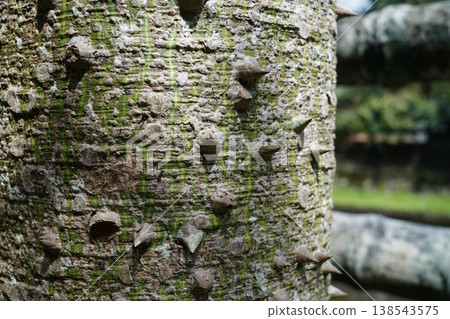 Tokkurikiwata Tokkurikiwata 138543575