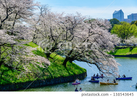 Chidorigafuchi Boating Area, Tokyo: Cherry blossoms in full bloom, 2026 Chidorigafuchi Boating Area, Tokyo: Cherry blossoms in full bloom, 2026 138543645