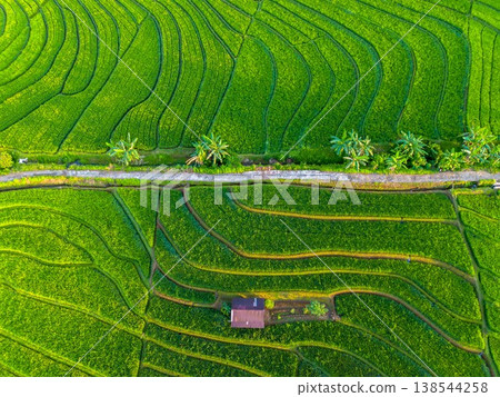 Beautiful morning view in Indonesia, panoramic landscape of rice fields with mountain ranges and clear sky Beautiful morning view in Indonesia, panoramic landscape of rice fields with mountain ranges and clear sky 138544258