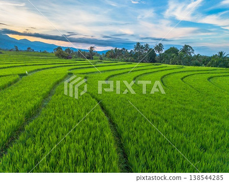 Beautiful morning view in Indonesia, panoramic landscape of rice fields with mountain ranges and clear sky Beautiful morning view in Indonesia, panoramic landscape of rice fields with mountain ranges and clear sky 138544285