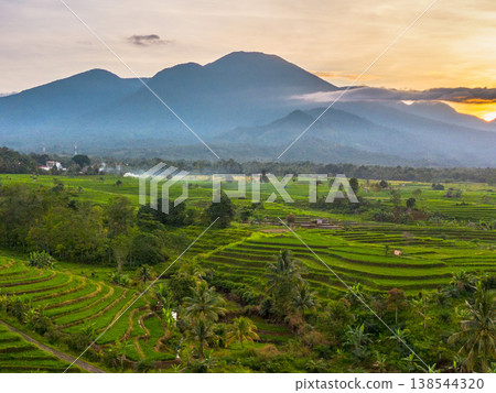 Beautiful morning view in Indonesia, panoramic landscape of rice fields with mountain ranges and clear sky Beautiful morning view in Indonesia, panoramic landscape of rice fields with mountain ranges and clear sky 138544320