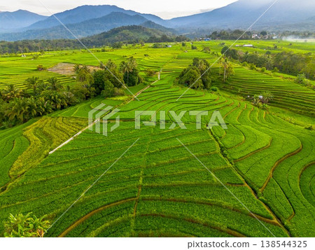 Beautiful morning view in Indonesia, panoramic landscape of rice fields with mountain ranges and clear sky Beautiful morning view in Indonesia, panoramic landscape of rice fields with mountain ranges and clear sky 138544325