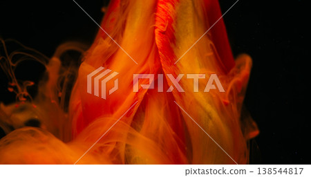 Drop flower. Smoke art. Blur bright color vapor yellow red tulip water blossom fume floating on abstract dark black floral background. Drop flower. Smoke art. Blur bright color vapor yellow red tulip water blossom fume floating on abstract dark black floral background. 138544817