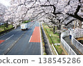 Cherry blossoms on the pedestrian overpass on Daigaku-dori in Kunitachi City, Tokyo 2026 138545286