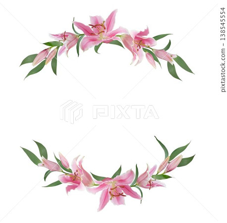 Pink Lily flower oval frame border isolated on white background 138545554