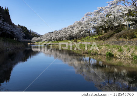 Natsui Senbonzakura Natsui Senbonzakura 138545700