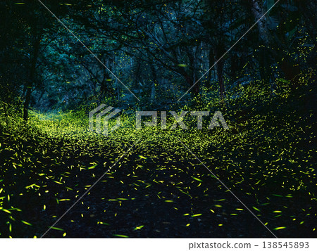 Fireflies in the woods 138545893