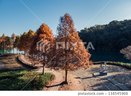 日月潭景色 落雨松 138545908