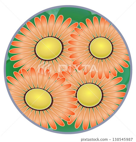 Daisy illustration with a circular background Daisy illustration with a circular background 138545987