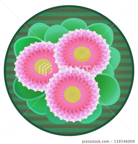 Daisy illustration with a circular background 138546009