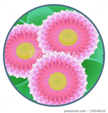 Daisy illustration with a circular background 138546010