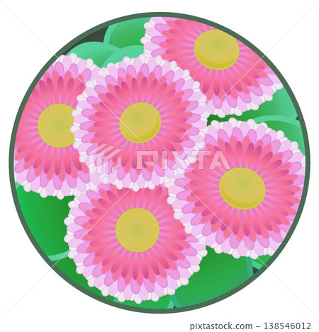 Daisy illustration with a circular background Daisy illustration with a circular background 138546012