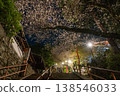 Look up at the cherry blossoms at night 138546033