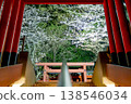 Cherry blossoms beyond the torii gate 138546034