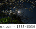 Cherry blossoms and the rising sun moon 138546039