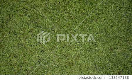 Green grass background, top view background of garden bright grass concept used for making green backdrop. Green grass background, top view background of garden bright grass concept used for making green backdrop. 138547188