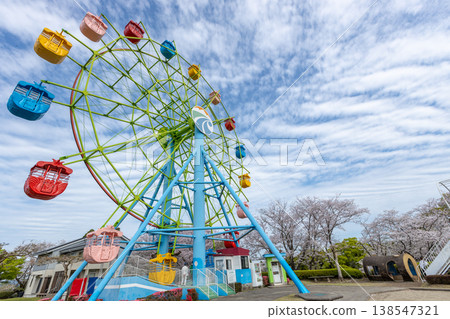 Shiroyama Park in Kirishima City, Kagoshima Prefecture: Ferris wheel and observation tower, a family-friendly tourist spot with cherry blossoms and playground equipment. 138547321