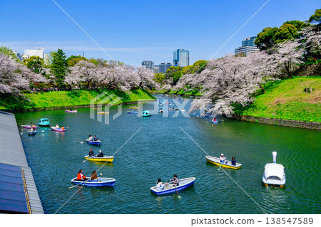 東京千鳥淵划船區:櫻花盛開,2026年 東京千鳥淵划船區:櫻花盛開,2026年 138547589
