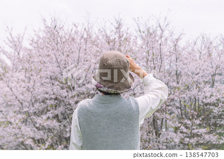 一位女士欣賞櫻花的背影 138547703