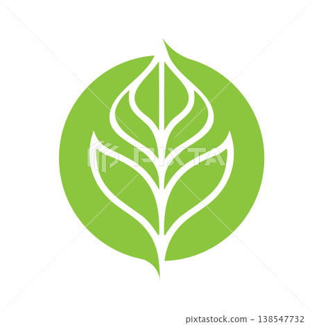 Fresh Botanical Leaf Logo Concept 138547732