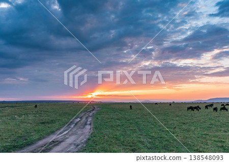 Maasai Mara National Game Reserve Park Great Rift Valley Narok County Kenya East Africa Savannah Grassland Wild Wildlife Animals Bush Adventure Travels Safaris Sunset Sunrise Sundwoner Birds Discovery 138548093