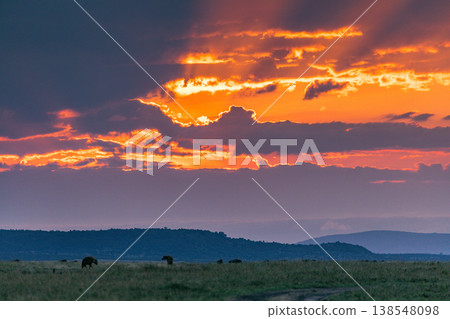 Maasai Mara National Game Reserve Park Great Rift Valley Narok County Kenya East Africa Savannah Grassland Wild Wildlife Animals Bush Adventure Travels Safaris Sunset Sunrise Sundwoner Birds Discovery 138548098