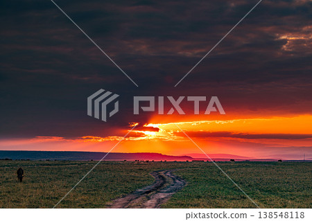 Maasai Mara National Game Reserve Park Great Rift Valley Narok County Kenya East Africa Savannah Grassland Wild Wildlife Animals Bush Adventure Travels Safaris Sunset Sunrise Sundwoner Birds Discovery 138548118