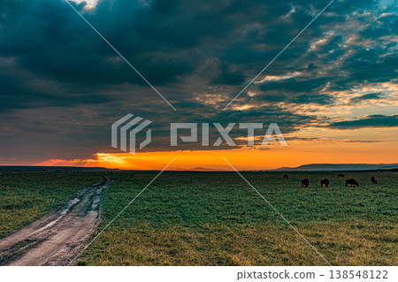 Maasai Mara National Game Reserve Park Great Rift Valley Narok County Kenya East Africa Savannah Grassland Wild Wildlife Animals Bush Adventure Travels Safaris Sunset Sunrise Sundwoner Birds Discovery 138548122