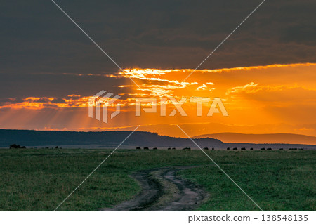 Maasai Mara National Game Reserve Park Great Rift Valley Narok County Kenya East Africa Savannah Grassland Wild Wildlife Animals Bush Adventure Travels Safaris Sunset Sunrise Sundwoner Birds Discovery 138548135