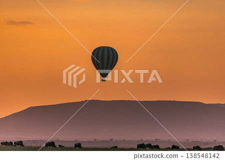 Maasai Mara National Game Reserve Park Great Rift Valley Narok County Kenya East Africa Savannah Grassland Wild Wildlife Animals Bush Adventure Travels Safaris Sunset Sunrise Sundwoner Birds Discovery 138548142