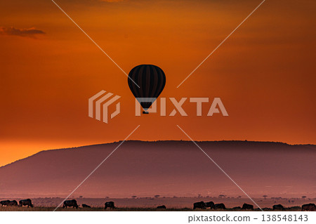 Maasai Mara National Game Reserve Park Great Rift Valley Narok County Kenya East Africa Savannah Grassland Wild Wildlife Animals Bush Adventure Travels Safaris Sunset Sunrise Sundwoner Birds Discovery 138548143