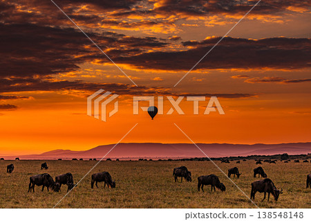 Maasai Mara National Game Reserve Park Great Rift Valley Narok County Kenya East Africa Savannah Grassland Wild Wildlife Animals Bush Adventure Travels Safaris Sunset Sunrise Sundwoner Birds Discovery 138548148