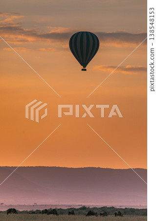Maasai Mara National Game Reserve Park Great Rift Valley Narok County Kenya East Africa Savannah Grassland Wild Wildlife Animals Bush Adventure Travels Safaris Sunset Sunrise Sundwoner Birds Discovery 138548153