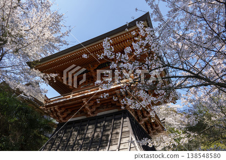 Cherry blossoms at Senshoji Temple Cherry blossoms at Senshoji Temple 138548580