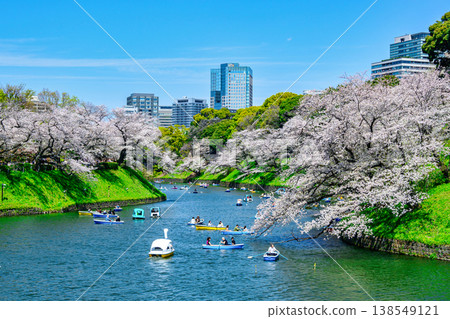 Sakura in full bloom in Chidori-gabuchi, Tokyo Sakura in full bloom in Chidori-gabuchi, Tokyo 138549121