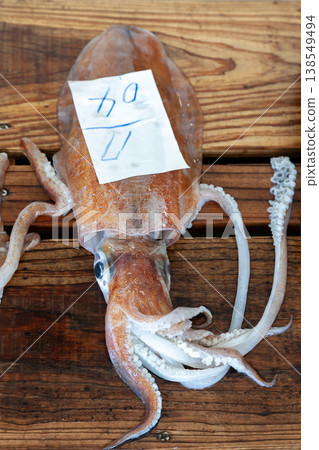 Bigfin reef squid at the Toya Fishing Port auction Bigfin reef squid at the Toya Fishing Port auction 138549494