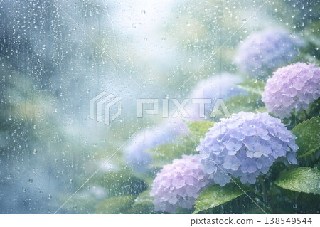 透過玻璃看到的繡球花，上面掛著雨滴（雨季，留白） 138549544