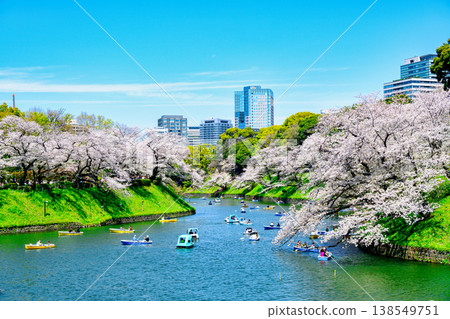 東京千鳥淵划船區:櫻花盛開,2026年 東京千鳥淵划船區:櫻花盛開,2026年 138549751