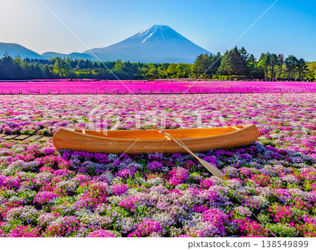 Mount Fuji and moss phlox in full bloom: A spectacular view from the Fuji Shibazakura Festival (Yamanashi Prefecture) 138549899
