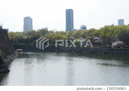 Osaka Castle moat, buildings, and cherry blossoms Osaka Castle moat, buildings, and cherry blossoms 138550063